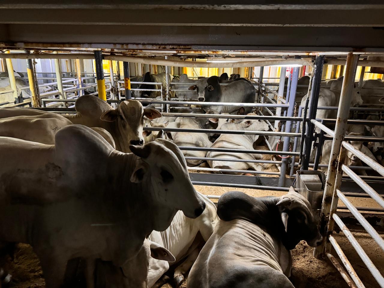 704547ac-68b7-4e9d-908e-742908c3bc50 2.JPG